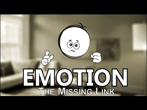 Emotion: The Missing Link in Customer Experience (Temkin Group)