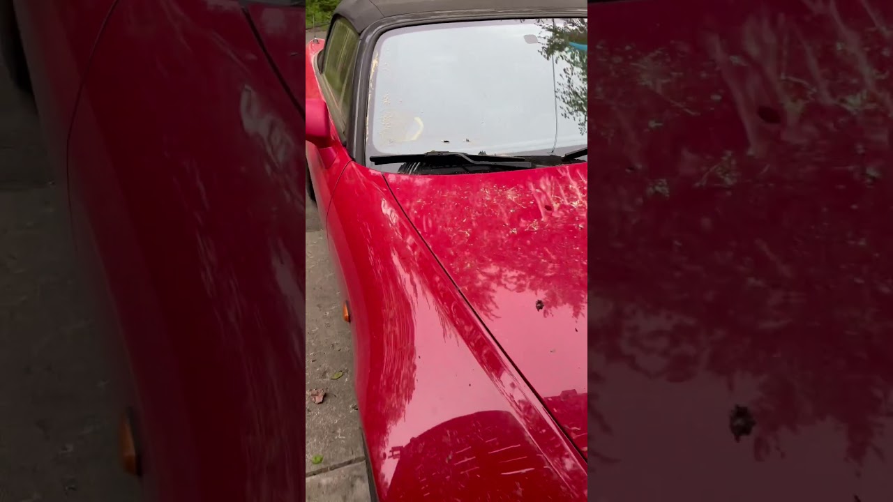 Pollen Count: INFINITE ! 