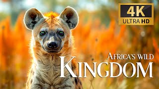 Africa's Wild Kingdom 4K 🐾 Discovery Relax Film With Calm Relax Music & Nature Video & Real Sound