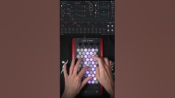 Exquis - @ArturiaOfficial Pigments "Salmon or Brass #vst #controller #midi #mpe #preset #keyboard