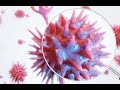 В Україні підтвердили появу «Дельта» штаму коронавірусу