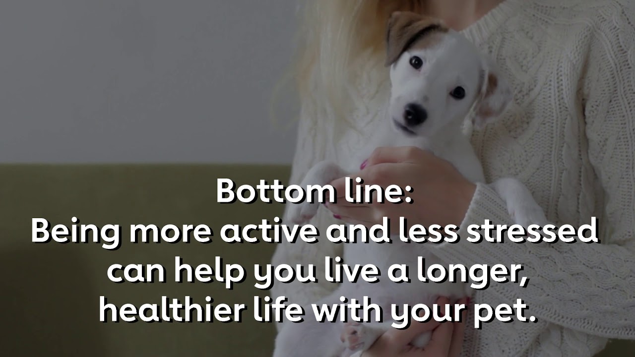 Do dog owners live longer? YouTube