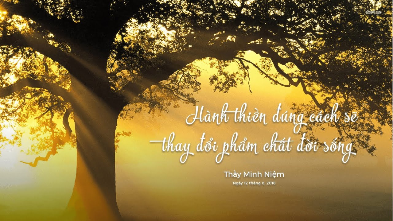 Thầy Minh Niệm | Hành thiền đúng cách sẽ thay đổi phẩm chất đời sống | 12.08.2018 Thầy Minh Niệm | Hành thiền đúng cách sẽ thay đổi phẩm chất đời sống | 12.08.2018
