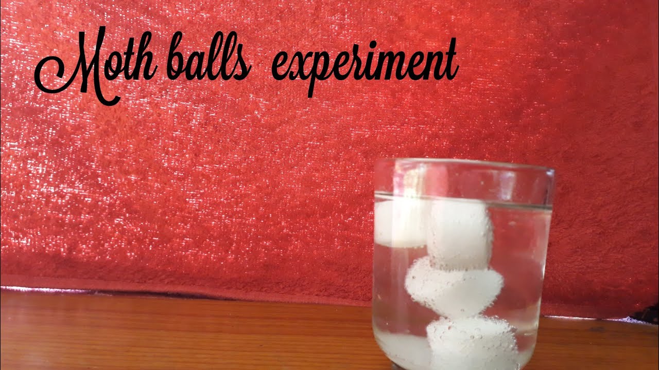 Moth balls experiment | easy experiment with house hold products - YouTube