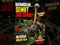 “Jamur Ini Mengubah Semut Jadi Zombie…”