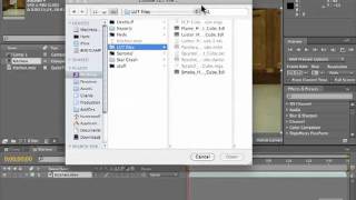 Adobe After Effects CS5 Tutorials - Edit Video, Using Colour Lut Part No.7