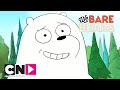 Вся правда о медведях | Спокойствие, Белый! | Cartoon Network