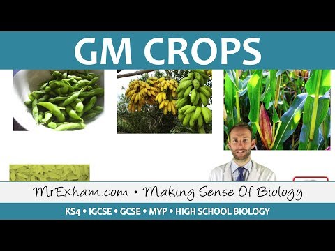 Video: 8 Müüti GMO Toidu Kohta
