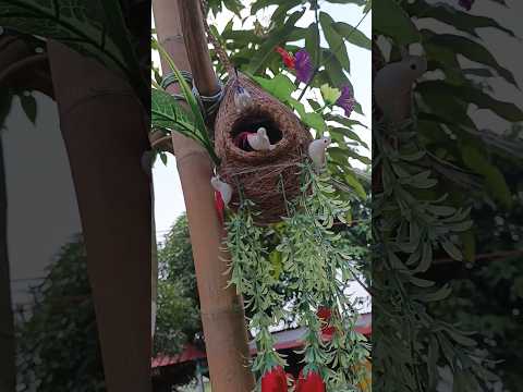 A day for self...#trending #trendingshorts #foryou #fyp #viral #viralvideo #video #funny