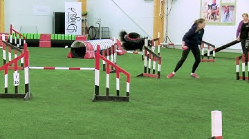 International Agility Training Week -  Handling the lead change - preview