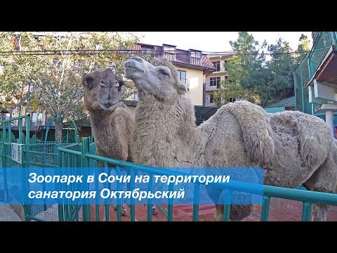 Как доехать до санатория октябрьский сочи