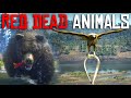 Red Dead Redemption 2 - Insanely Realistic Animals Details