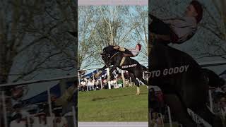 "El Unico" de Roberto "Tija" Suáez con Pablo Contreras. #caballos #charreriaorgullodemexico