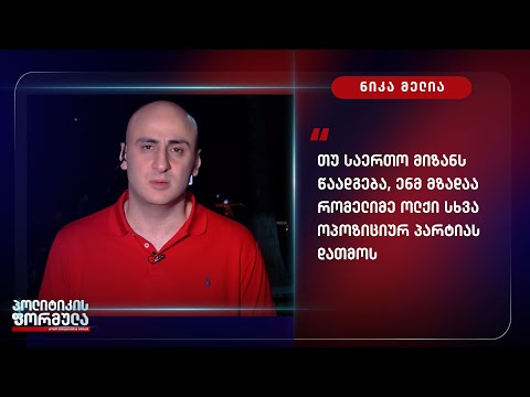 თუ საერთო მიზანს წაადგება, ენმ მზადაა რომელიმე ოლქი სხვა ოპოზიციურ პარტიას დაუთმოს - მელია