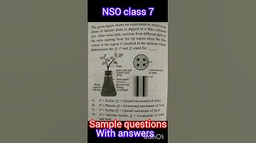 NSO class 7                              Sample questions    #shorts