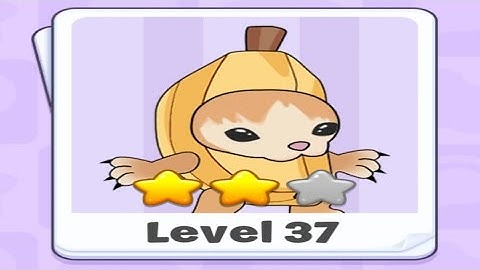 Brainy Prankster Level 37 Solution