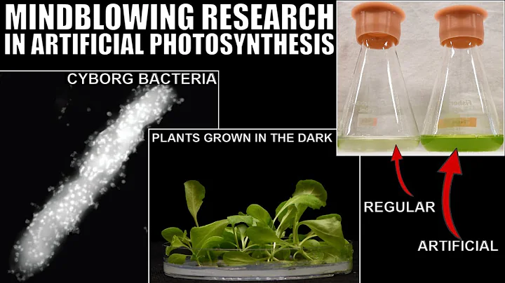 Groundbreaking Research in Artificial Photosynthesis - Doing What Nature Couldn't - DayDayNews