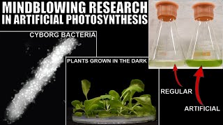 Groundbreaking Research in Artificial Photosynthesis - Doing What Nature Couldn't screenshot 5