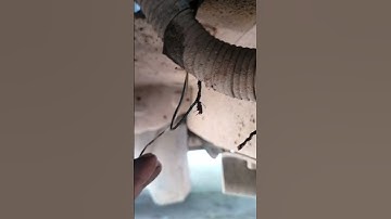 Maruti Suzuki Eeco Gas Pe # Petrol Not Start Work Done Shots s Video # Viral # Work Done by Manual 👍