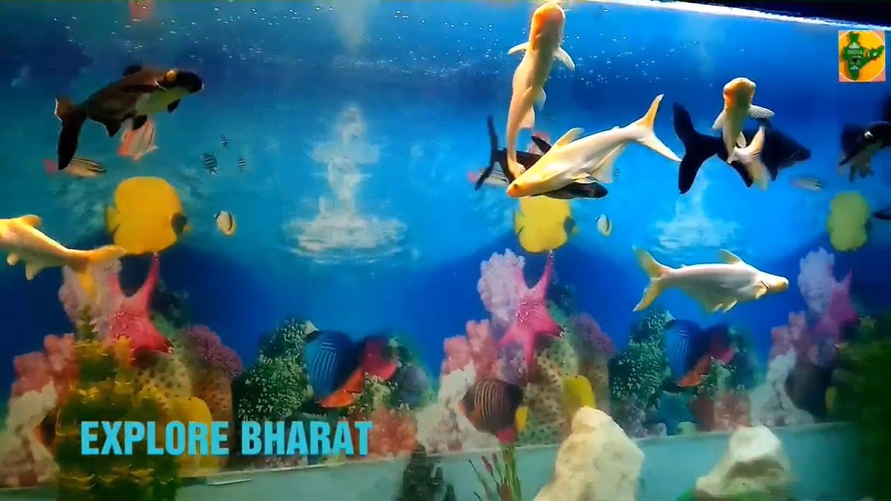 EXPLORE PATNA PATNA ZOO FISH HOUSE FULL VIDEO