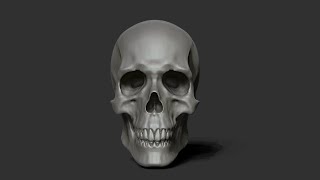 Zbrush tutorial - skull sculpting part 1