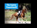 The Canter Transition