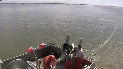 Alaska Commercial Fishing Explained - Gillnetting and picking fish out of the net