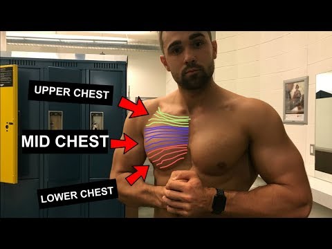 Full Chest Workout for a Bigger &amp; Stronger Chest | BIGGER FASTER STRONGER Ep.1