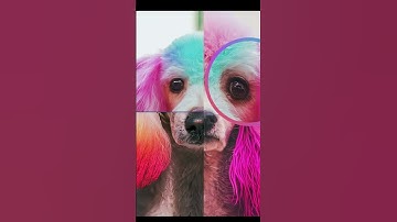 SynthID: How to Detect AI-Generated Content with Google’s Advanced Watermarking Tech