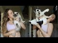 😺 Cats are so different! 🐈 Funny video with cats and kittens! 😸