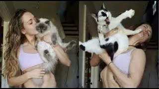 😺 Кошки такие разные! 🐈 Забавное видео с кошками и котятами! 😸