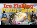 Ice Fishing Jumbo Perch