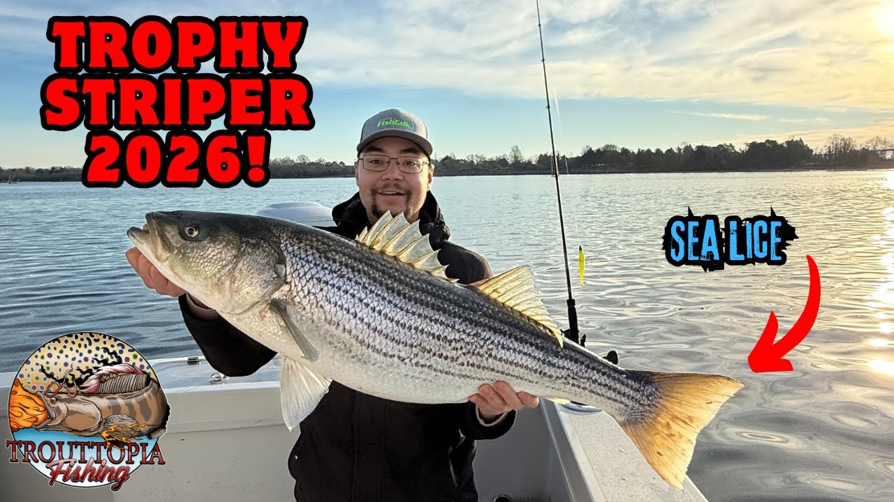 Ловля трофейного полосатого окуня на джиг в мелководье?! (Остров Соломоновых островов, Мэриленд, ...