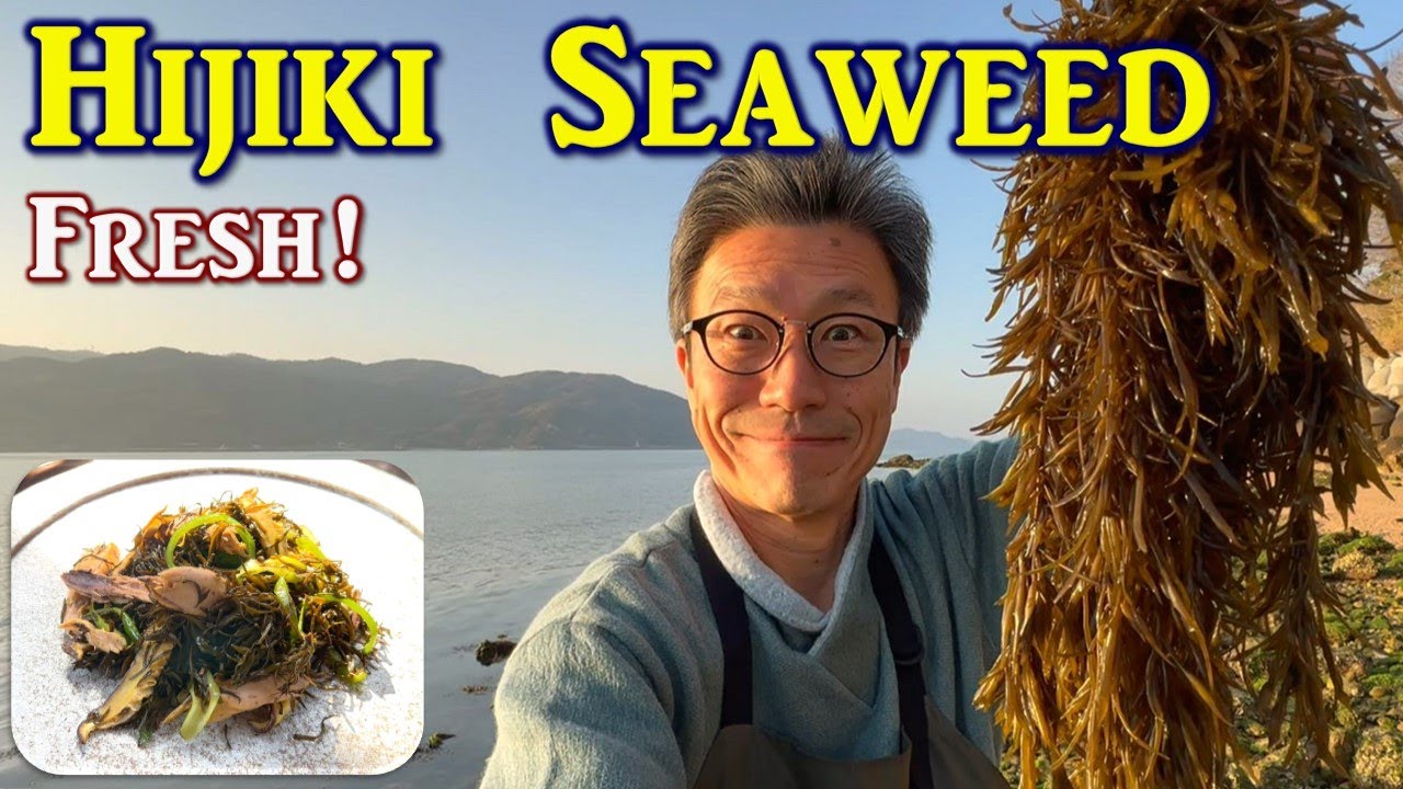 Hijiki Seaweed, Natural Japanese Taste of Spring - YouTube