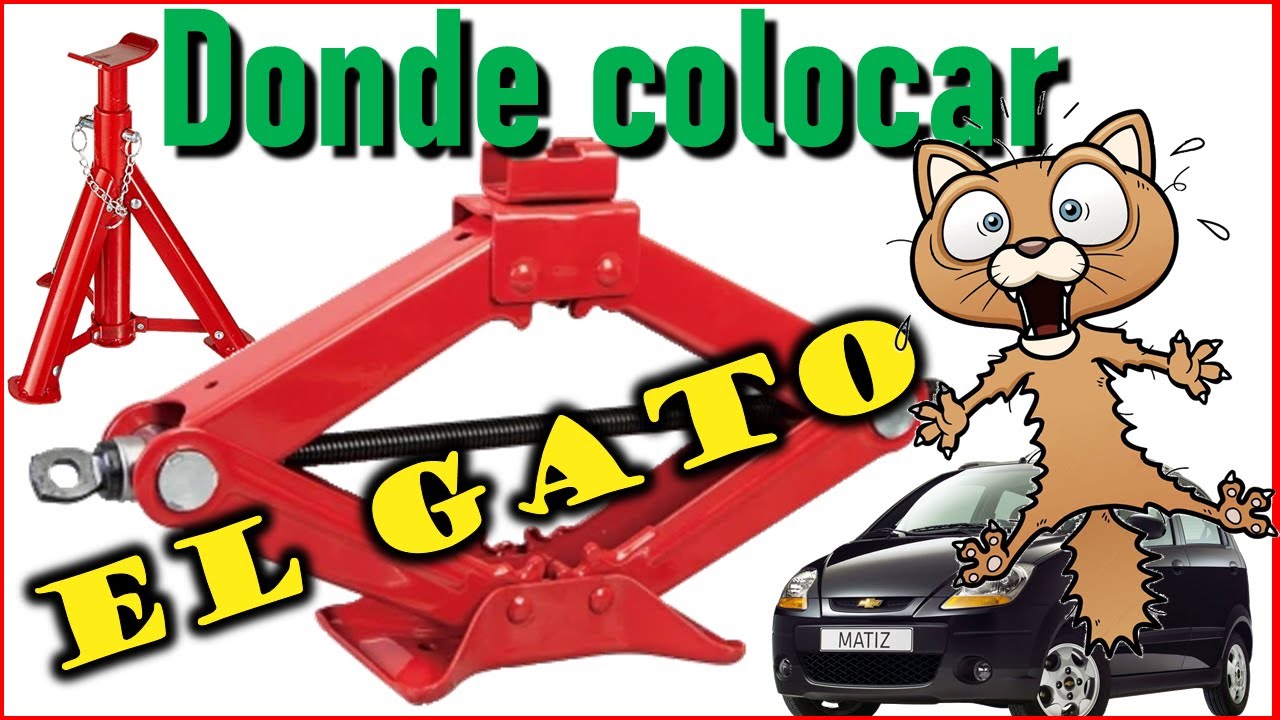 Dóndey cómo colocar un gato hidráulico -canalMOTOR