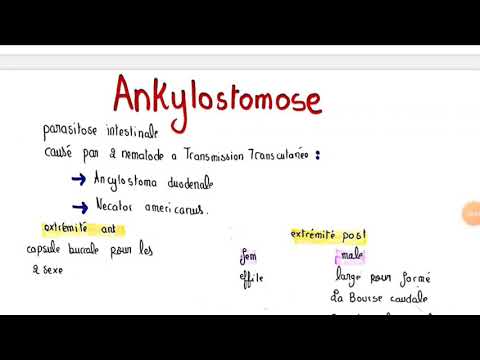 Vidéo: Ankylostomiase - Symptômes, Traitement, Formes, Stades, Diagnostic