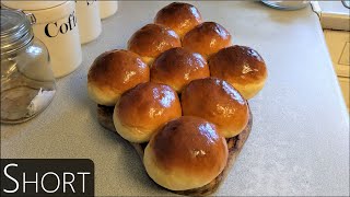 Big Bouncy Beautiful Brioche Buns