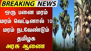 ஒர பன மரம மரம வடடனல 10 மரம நடவணடம தமழக அரச ஆண,Palm Tree Rules Tamil Nadu Govt Tn