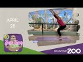Zen Zoo April 28