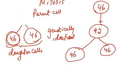 5090 CH 16 VIDEO 1  syllabus 2023