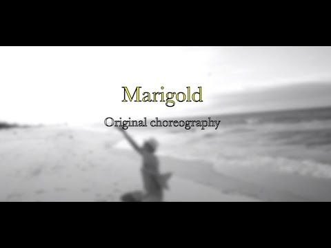 【JOJO】Marigold マリーゴールドを踊ってみた【オリジナル振付】