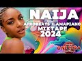 BEST AFROBEAT MIX 2024 VOL 1 X DJ ONE EZRA  VIDEO MIX