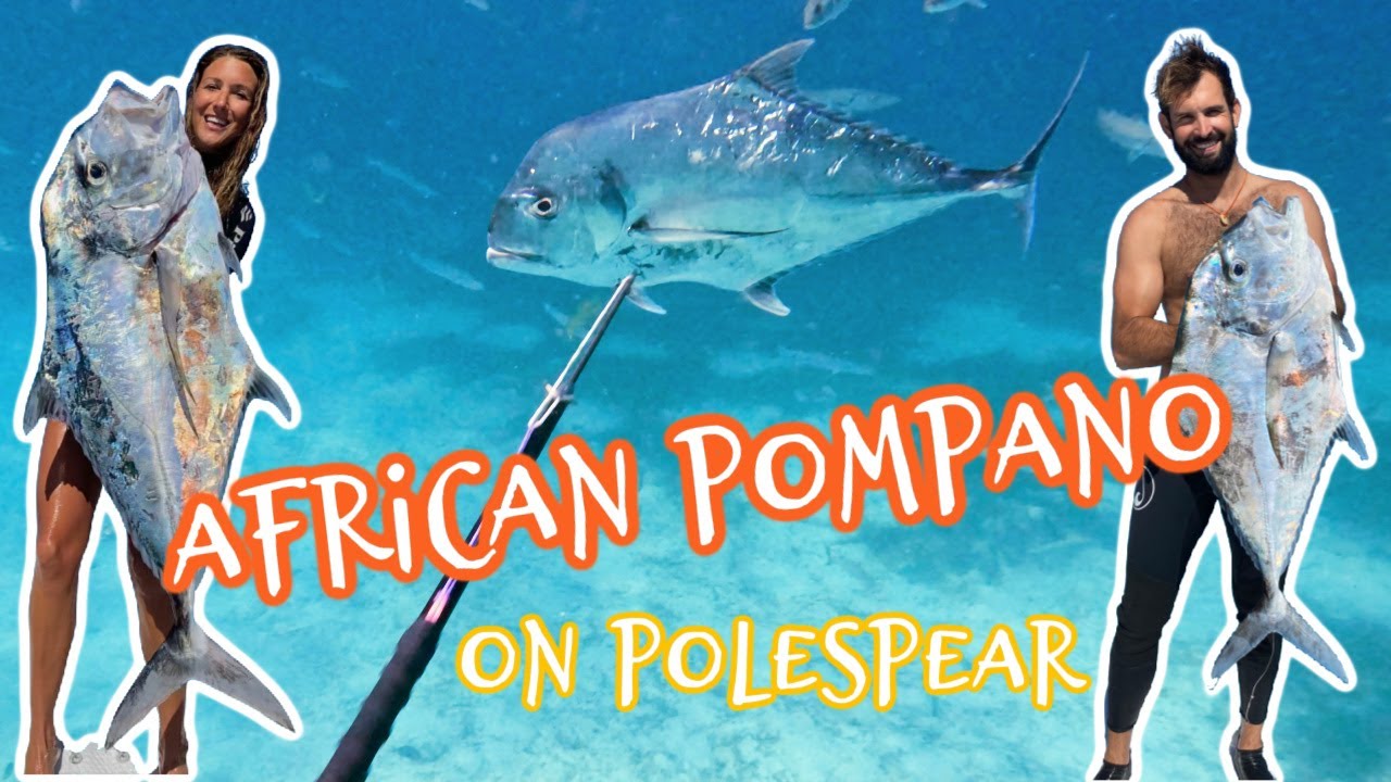 Spearfishing African Pompano on Pole Spear in the Bahamas