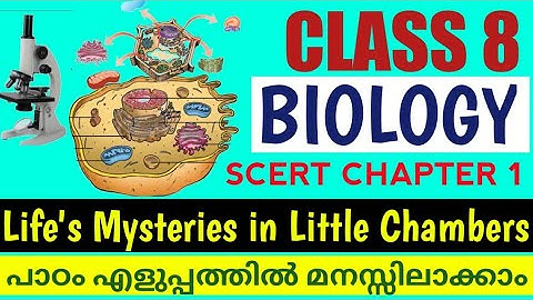 Scert Class 8 Biology Unit 1 Life