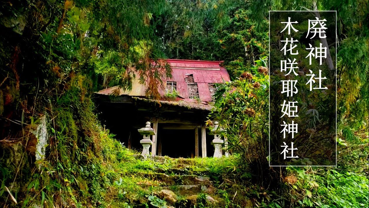 廃神社 奥山里にひっそり鎮座する姫神 あなたは見える 木花咲耶姫神社 佐賀 オンライン参拝22年版 Youtube