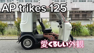 AP trikes 125