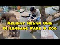 Vlog jidan ibrahim  melihat hewan unik dan lucu di lembang park  zoo