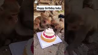 Heppy birthday //#viral