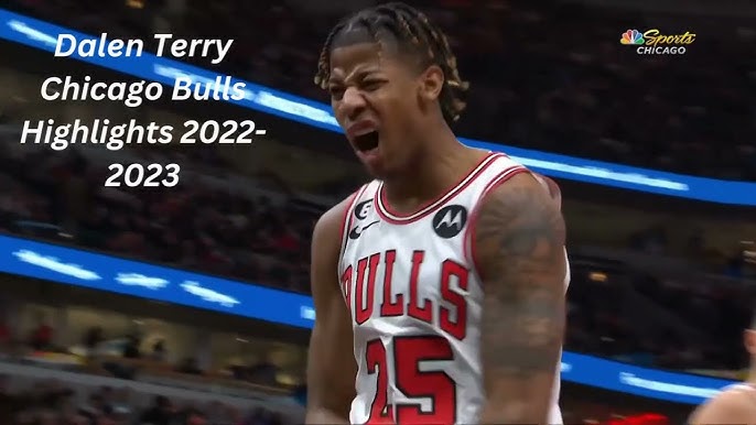 Man i'm sold on Dalen Terry. : r/chicagobulls