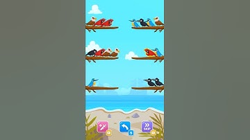 Bird Color Game: Sort Puzzle | Gameplay Video | RoscoGames